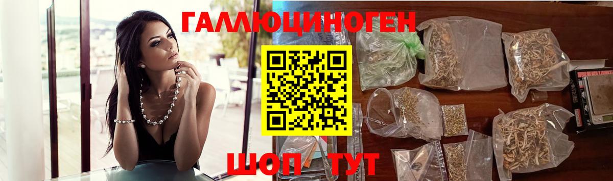 Псилоцибиновые грибы Psilocybe Коряжма